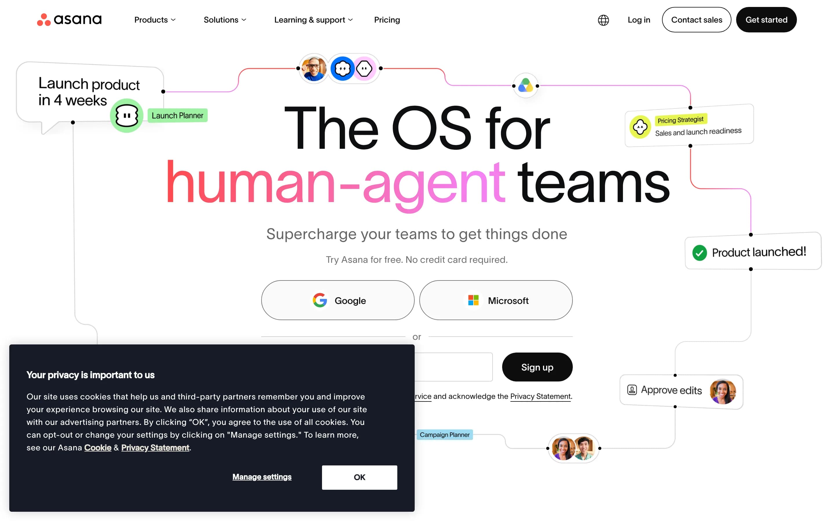 Asana website screenshot