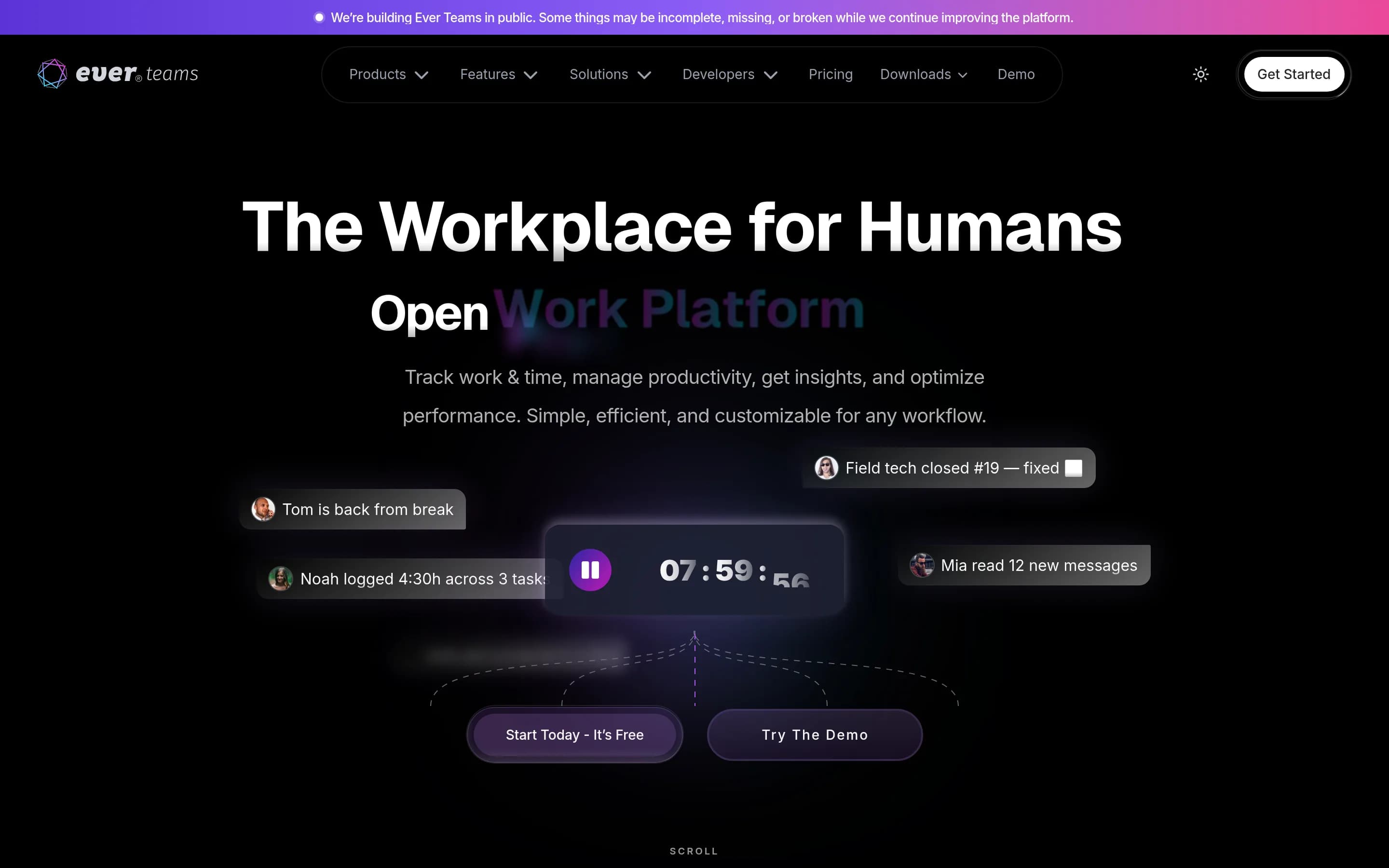 Ever-teams website screenshot