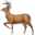 Deer-flow favicon